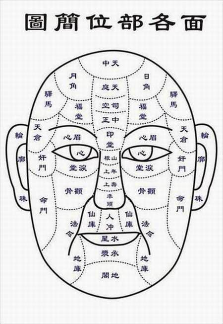 人相學|面相學